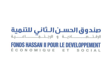 صندوق الحسن الثاني للتنمية الإقتصادية والإجتماعية