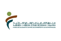 صندوق التضامن ضد الوقائع الكارثية