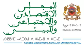 المجلس الإقتصادي والإجتماعي والبيئي