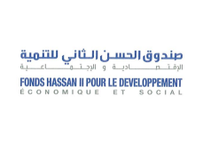 صندوق الحسن الثاني للتنمية الإقتصادية والإجتماعية (FHDES)